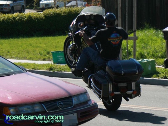 Who says Harleys can't wheelie? (hog-wheelie 002.jpg)